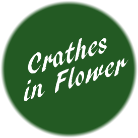 Crathes in Flower